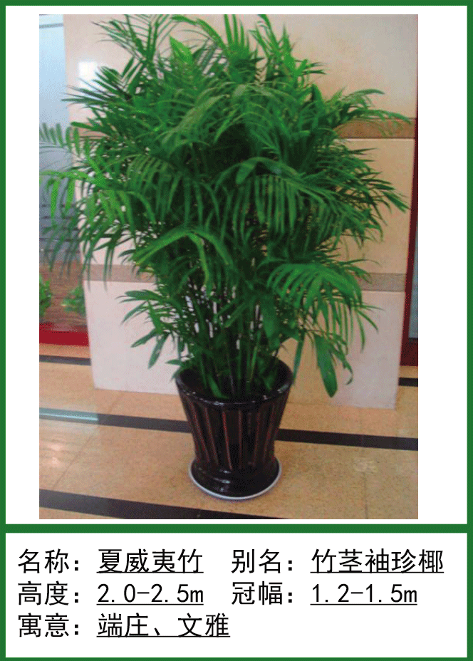 绿植租摆的方式和好处有哪些?