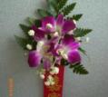 鲜花展示