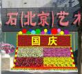 小花坛