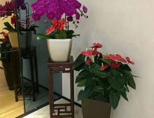 某科技公司一角