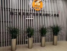 企业楼道摆放效果