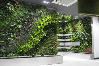 公司植物墙