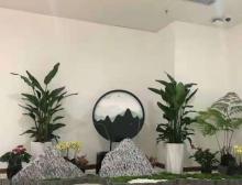 绿植租赁:城市新生活