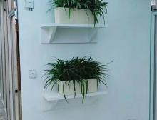 绿植摆放