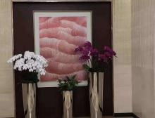 组合盆栽