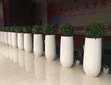 组合盆栽