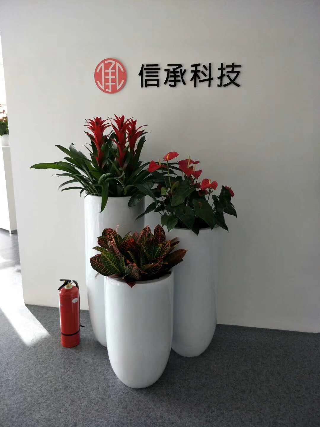 组合盆栽