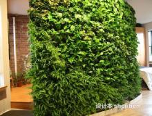 植物墙