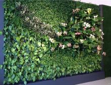 植物墙