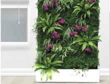 植物墙