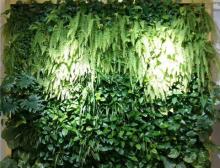 植物墙