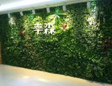 植物墙