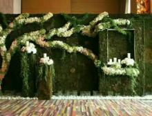 植物墙