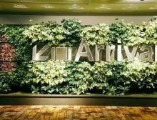 植物墙