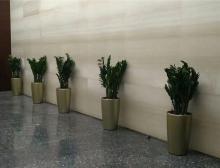 绿植摆放